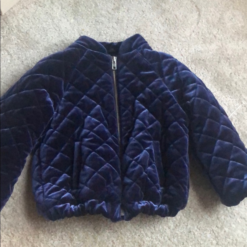 Gap Quilted Coat - Navy Velour